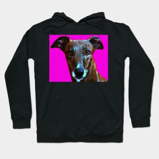 greyhound Hoodie